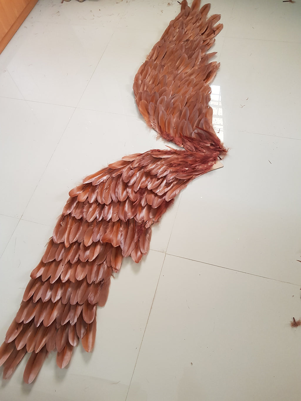 Wings of Life Wall Dreamcatcher