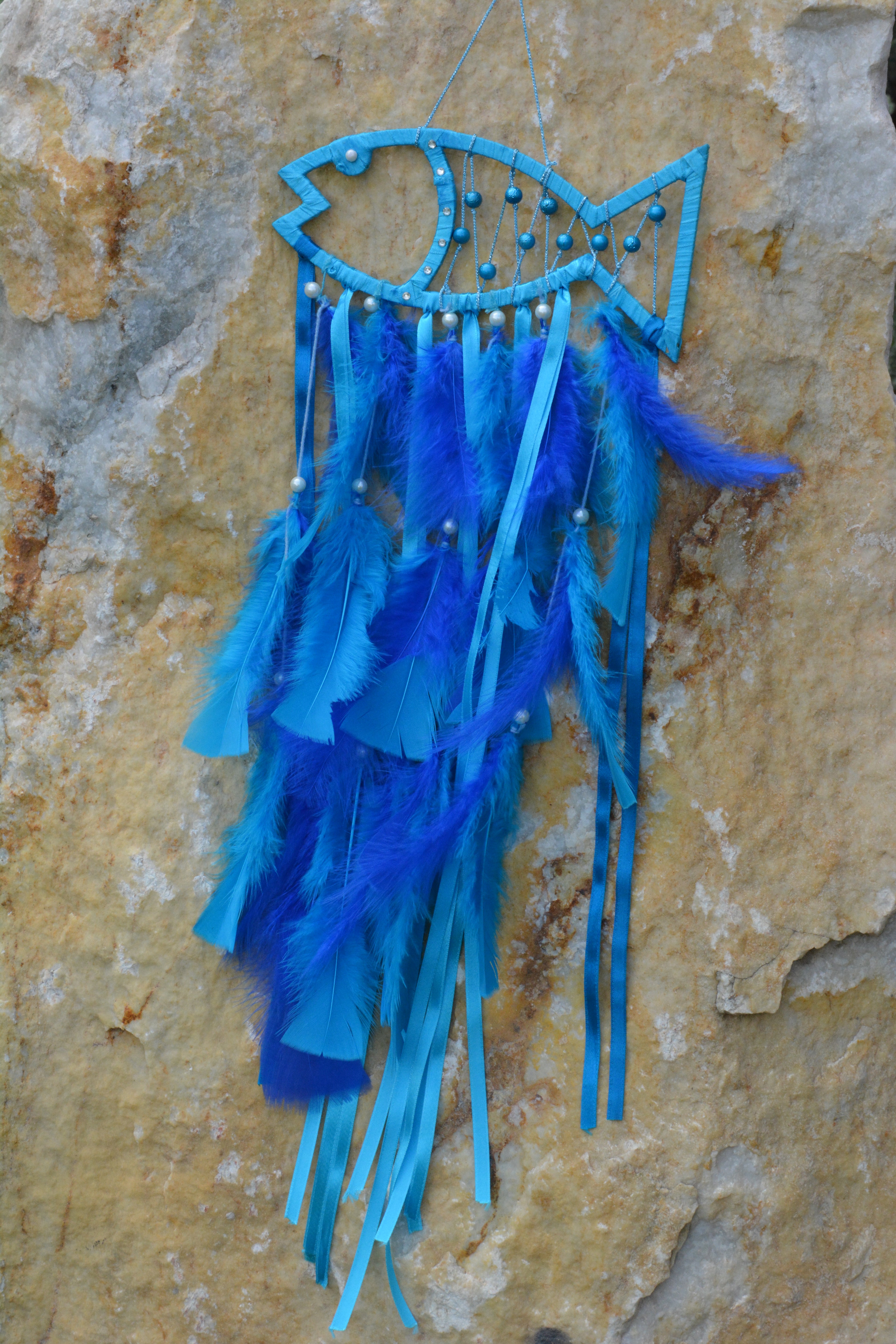 The Fish Long Feathers