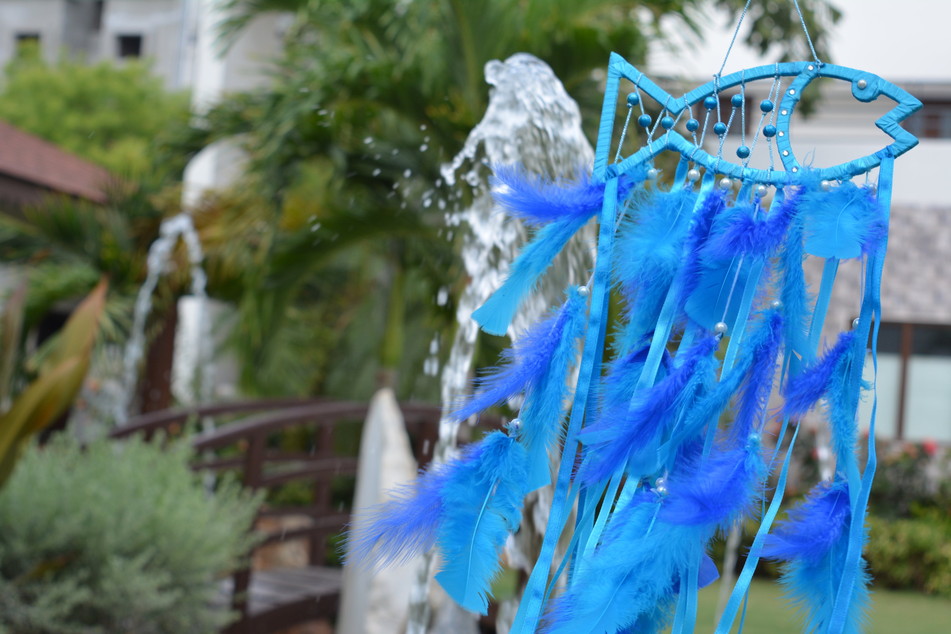 The Fish Long Feathers