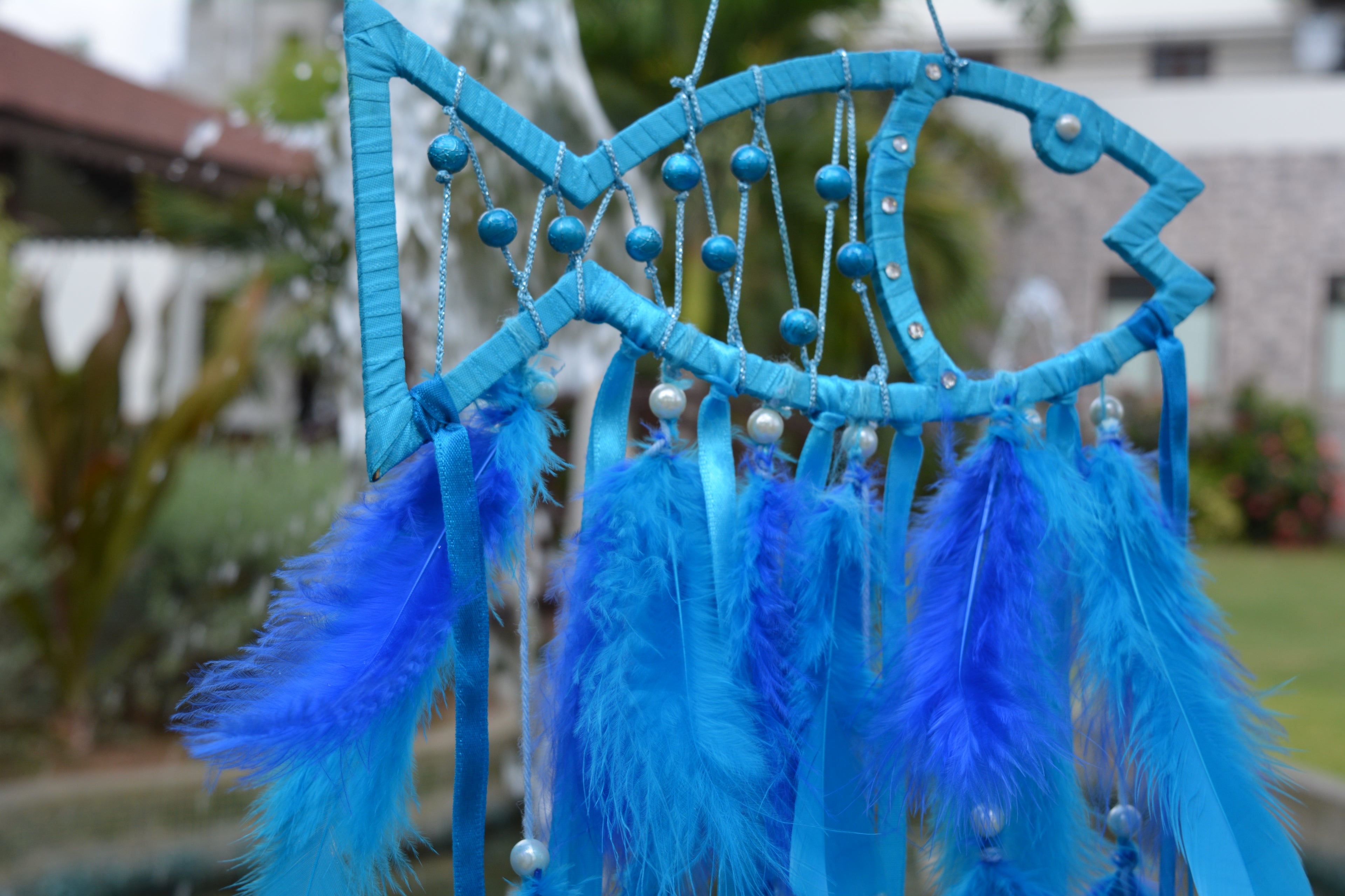 The Fish Long Feathers