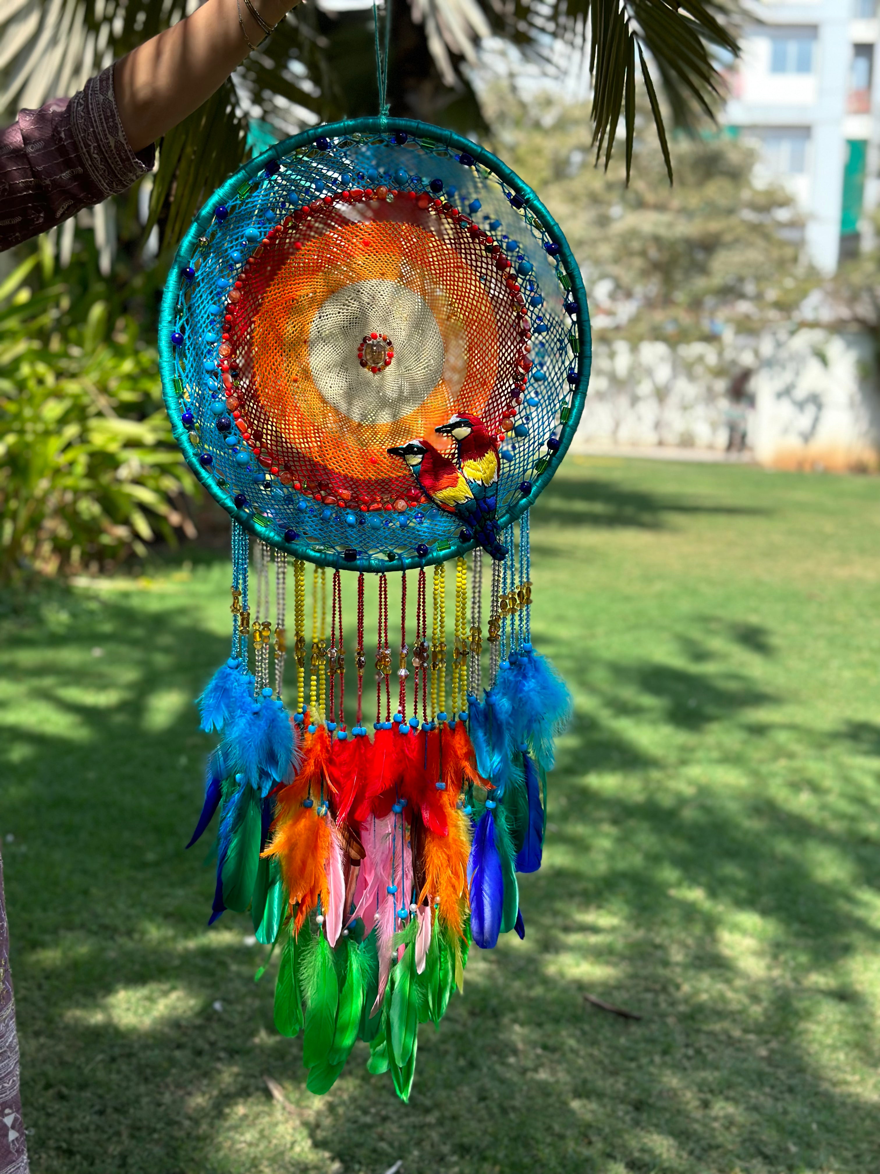 Bird of Paradise
