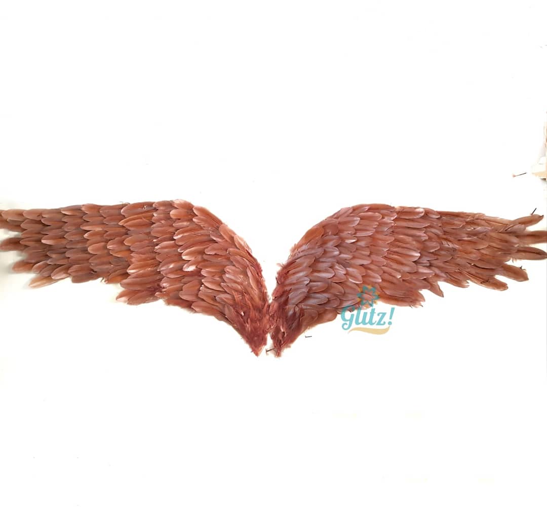 Wings of Life Wall Dreamcatcher