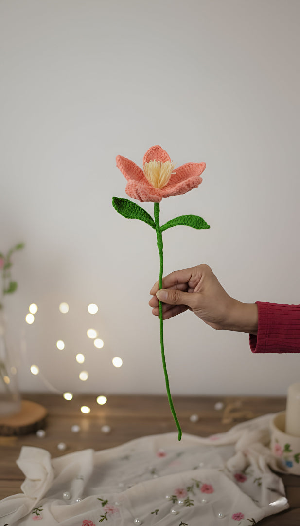 Peach Whisper Crochet Bloom